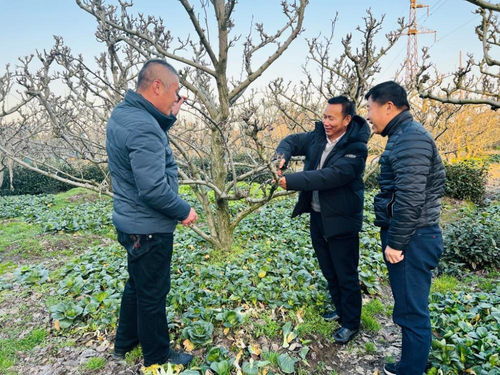新春走基层丨 喊破嗓子,不如做出样子 老吴书记 忙年