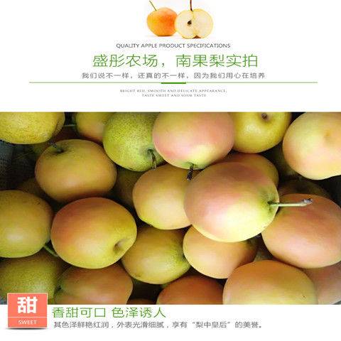 鞍山南果梨正宗南国梨东北特产梨子新鲜水果香水梨1斤5斤包邮