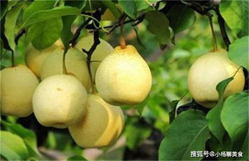 每天可以多吃3种食物,排毒养颜 滋润肌肤,好吃又健康