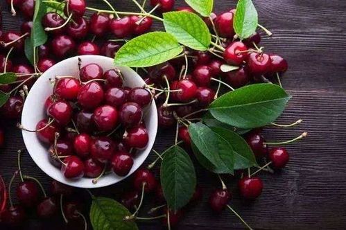 大樱桃 荔枝 蜜桃 小番茄...5月22日果蔬盛会海量爆款抢先看