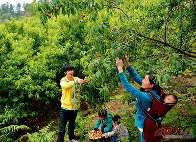 余留芬:岩博村的女支书