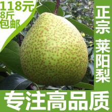 2019丰水梨价格行情 批发多少钱 丰水梨图片 第13页 水果批发网