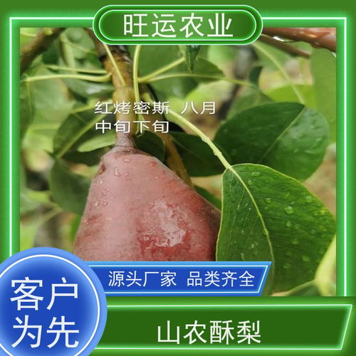 搜了视频 产品视频 b2b视频 供应视频