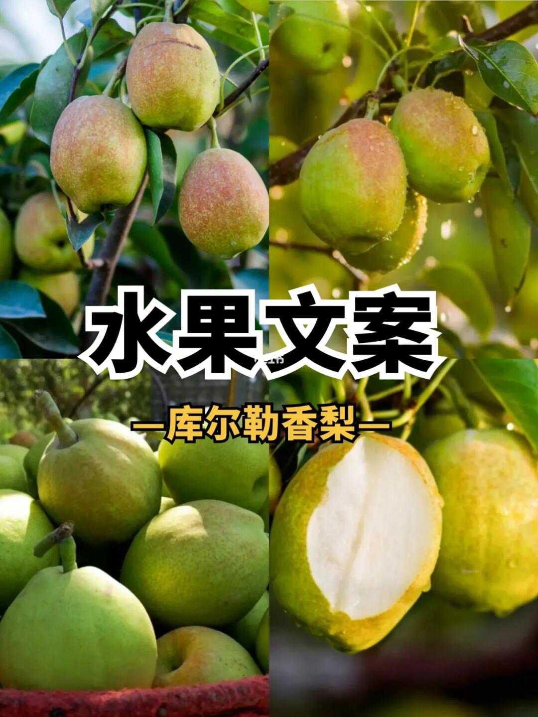 冰糖雪梨 清养生滋 压 手工製作 冰糖烤梨 止美利润 作.