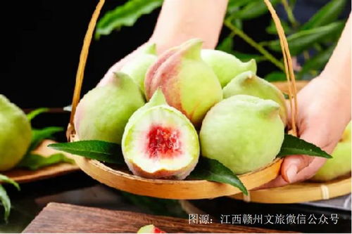 超甜预警 夏日摘果攻略来啦,一起get