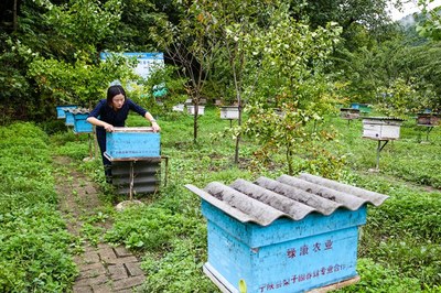山林变绿都 富民兴乡村