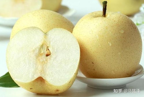 夏季适合吃什么水果